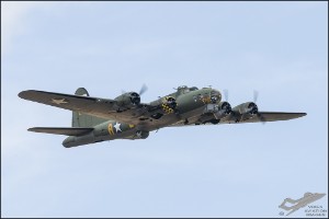 NZ6_1170